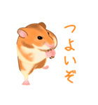 かしこいはむすたー（個別スタンプ：8）