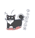 〜毛玉フレンズ〜（個別スタンプ：12）