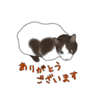 ねこ×ねこお返事Part1（個別スタンプ：19）