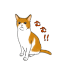 ねこ×ねこお返事Part1（個別スタンプ：27）