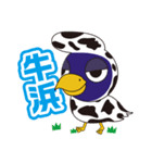 アットちらし キャラクター ピッポ君（個別スタンプ：5）