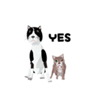 3D 超動く犬と猫（個別スタンプ：2）