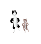 3D 超動く犬と猫（個別スタンプ：15）