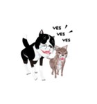 3D 超動く犬と猫（個別スタンプ：23）