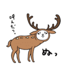 らりネコ（個別スタンプ：13）