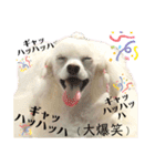 姫ファミリー part1（個別スタンプ：16）