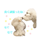 姫ファミリー part1（個別スタンプ：28）
