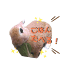 ときどき上から目線きなこ。（個別スタンプ：14）