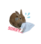 ときどき上から目線きなこ。（個別スタンプ：16）