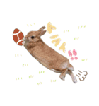 ときどき上から目線きなこ。（個別スタンプ：22）