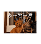 メルメルメルメルのスタンプ（個別スタンプ：6）