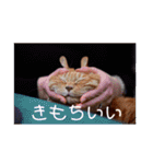 メルメルメルメルのスタンプ（個別スタンプ：14）