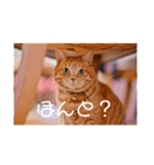メルメルメルメルのスタンプ（個別スタンプ：16）