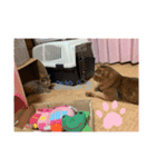 マイケル＆楓スタンプ（個別スタンプ：4）
