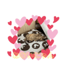 マイケル＆楓スタンプ（個別スタンプ：6）