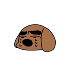 父犬（個別スタンプ：8）
