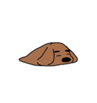父犬（個別スタンプ：12）