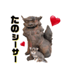 チワワセ♡マロン・レア♡沖縄方言①（個別スタンプ：7）