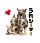チワワセ♡マロン・レア♡沖縄方言①（個別スタンプ：8）