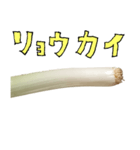 ネギ の 根元 と 手書き文字（個別スタンプ：12）