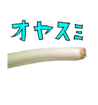 ネギ の 根元 と 手書き文字（個別スタンプ：13）