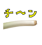 ネギ の 根元 と 手書き文字（個別スタンプ：33）