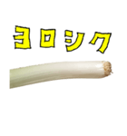 ネギ の 根元 と 手書き文字（個別スタンプ：36）