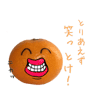 みかんちゃんスタンプ③（個別スタンプ：27）