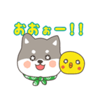 ゆるっとあいさつ黒柴犬！（個別スタンプ：3）