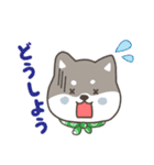 ゆるっとあいさつ黒柴犬！（個別スタンプ：7）