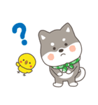 ゆるっとあいさつ黒柴犬！（個別スタンプ：8）