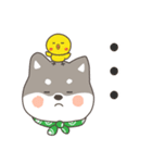 ゆるっとあいさつ黒柴犬！（個別スタンプ：10）