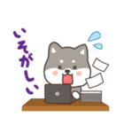 ゆるっとあいさつ黒柴犬！（個別スタンプ：11）