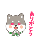 ゆるっとあいさつ黒柴犬！（個別スタンプ：14）