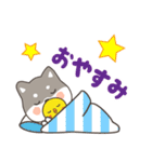 ゆるっとあいさつ黒柴犬！（個別スタンプ：16）