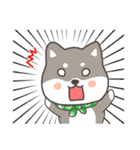 ゆるっとあいさつ黒柴犬！（個別スタンプ：21）