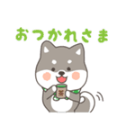 ゆるっとあいさつ黒柴犬！（個別スタンプ：24）
