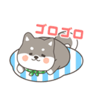ゆるっとあいさつ黒柴犬！（個別スタンプ：30）