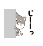 ゆるっとあいさつ黒柴犬！（個別スタンプ：31）