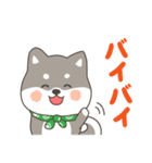 ゆるっとあいさつ黒柴犬！（個別スタンプ：33）