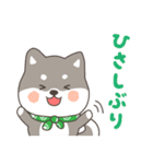 ゆるっとあいさつ黒柴犬！（個別スタンプ：34）