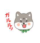 ゆるっとあいさつ黒柴犬！（個別スタンプ：37）