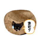 レオンとチー太2（個別スタンプ：3）