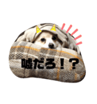 レオンとチー太2（個別スタンプ：11）