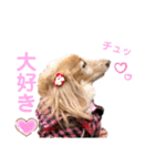 愛犬めいちゃんスタンプ（個別スタンプ：8）