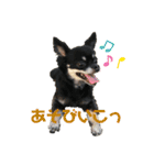 ニケベラスタンプ（個別スタンプ：1）