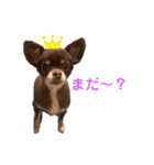 ニケベラスタンプ（個別スタンプ：2）