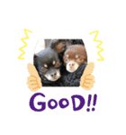 ニケベラスタンプ（個別スタンプ：4）