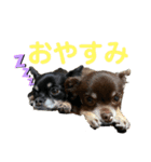 ニケベラスタンプ（個別スタンプ：12）