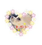 ☆チワワのリボン☆（個別スタンプ：8）
